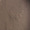 Les Pigments d'Animaux