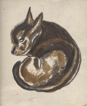 billy chihuahua
