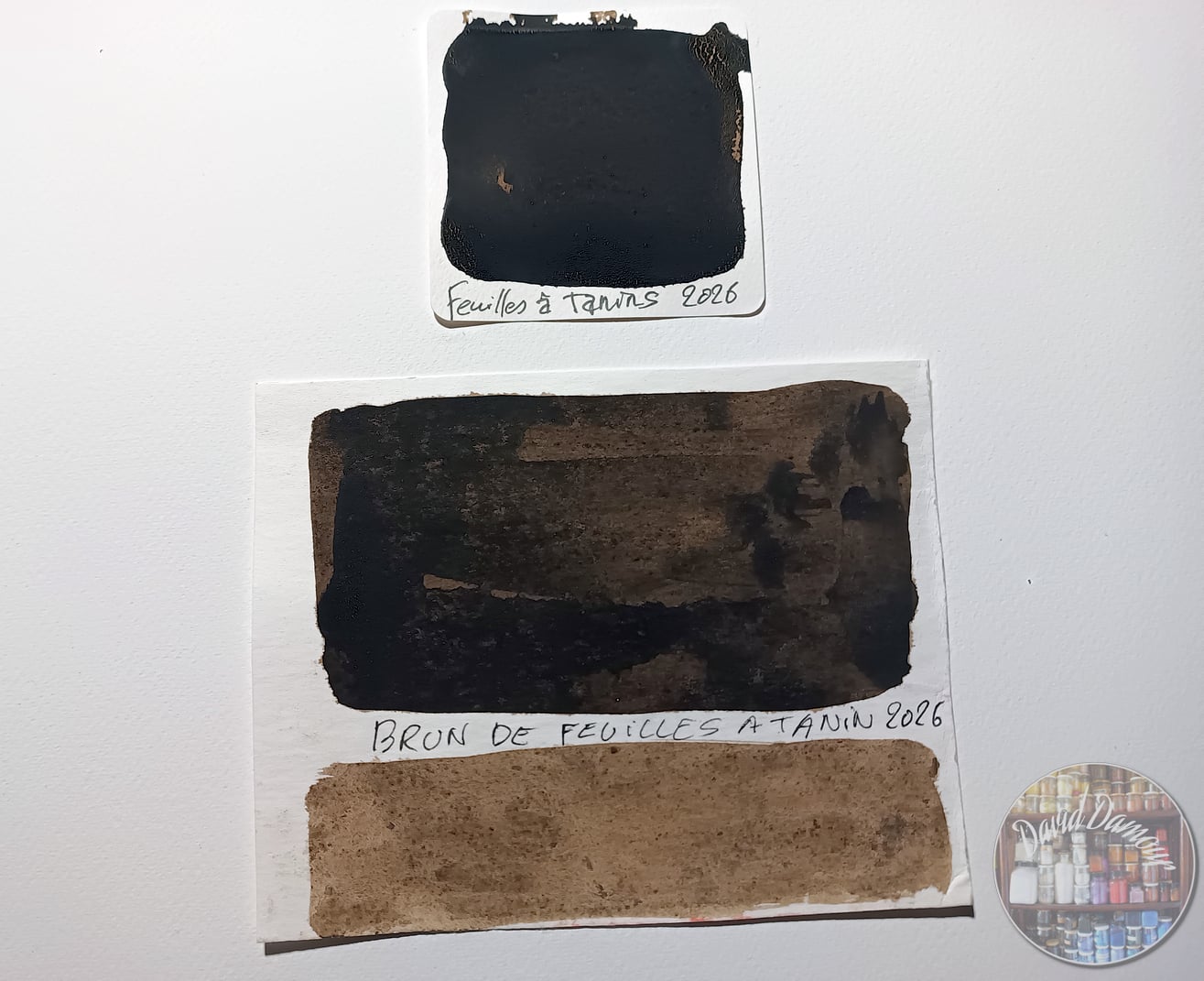 Encre de feuilles à Tanin Collection 2026 Colorant pur disponible en 30 ml